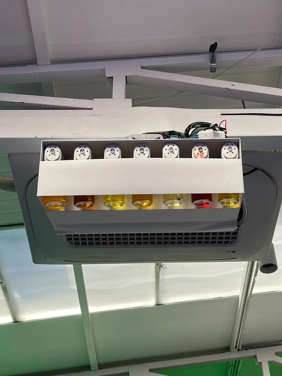 TWISTED TWENTY OF LUSH KOREA — Image 14