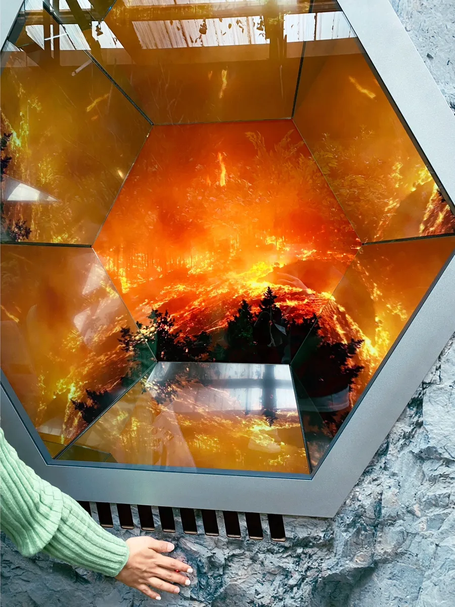 TWISTED TWENTY OF LUSH KOREA