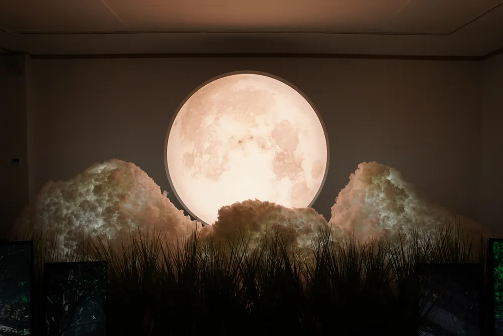 부산 문화예술 페스티벌 유기농 갤러리 — Image 4