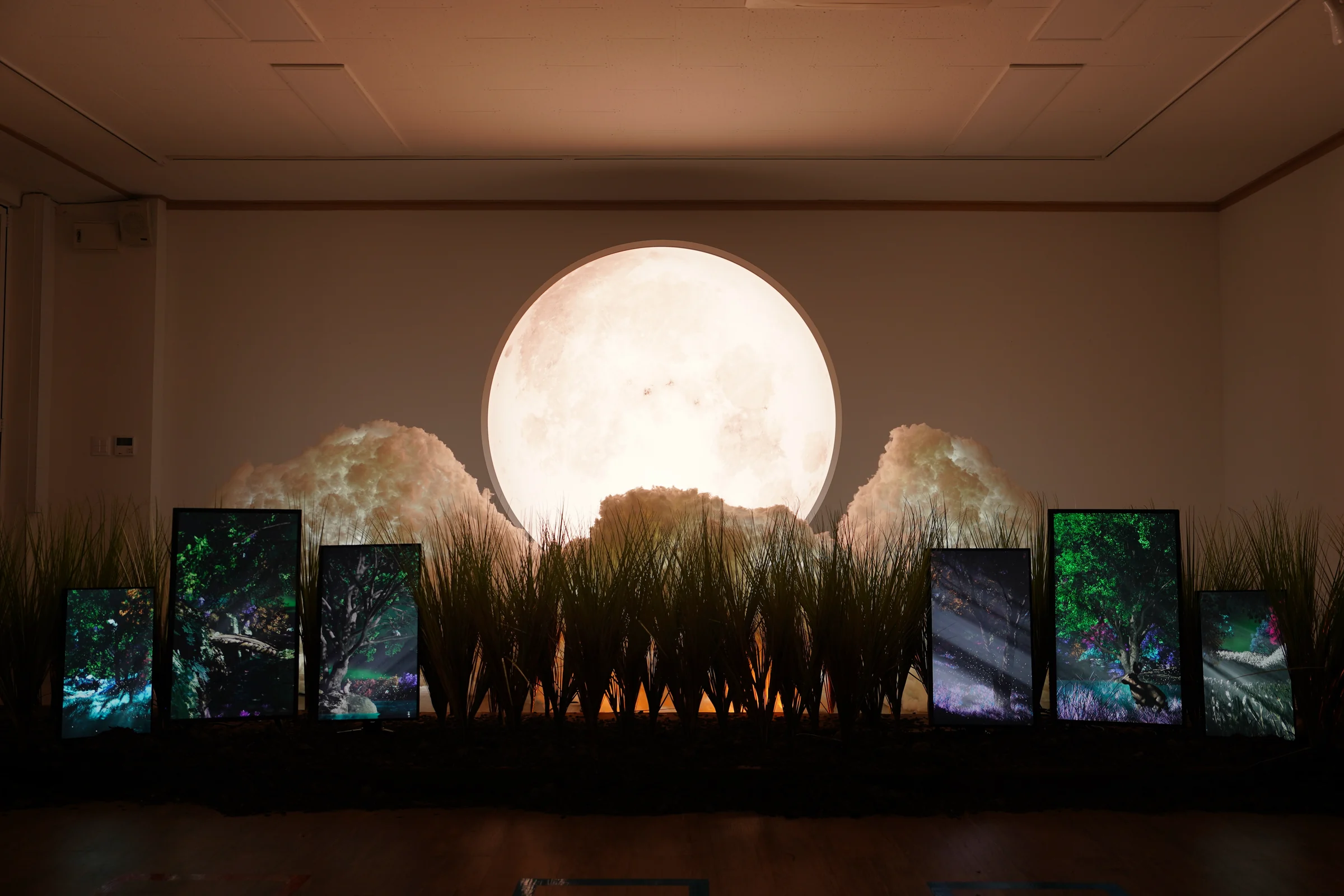葦の花壇の上に浮かぶ大型の月照明、左右の雲、葦の間に立つ6台の縦型画面