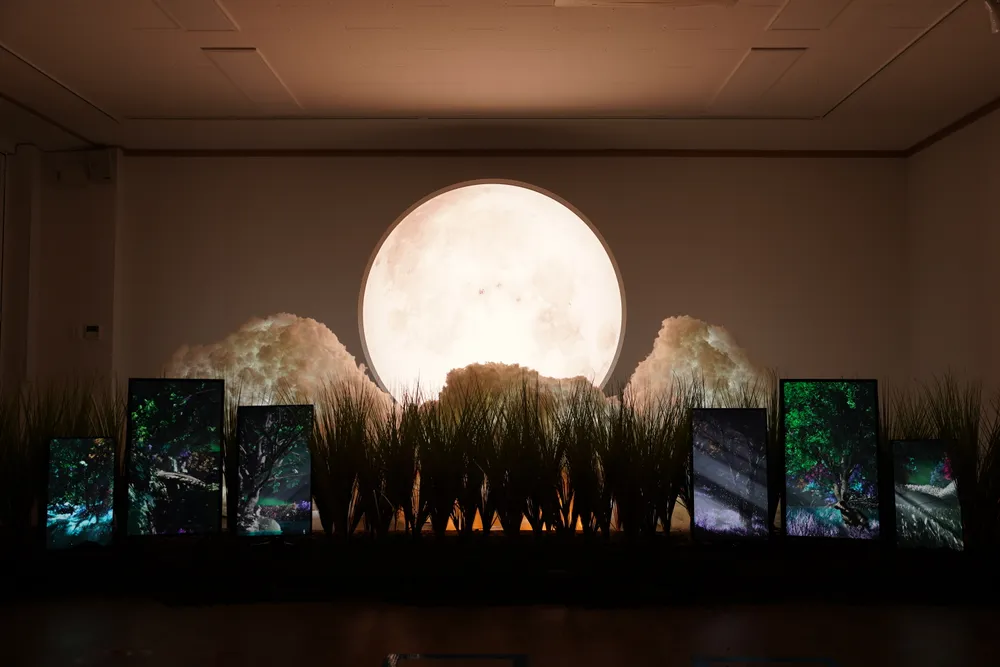 Busan Culture & Arts Festival 'Organic Gallery'