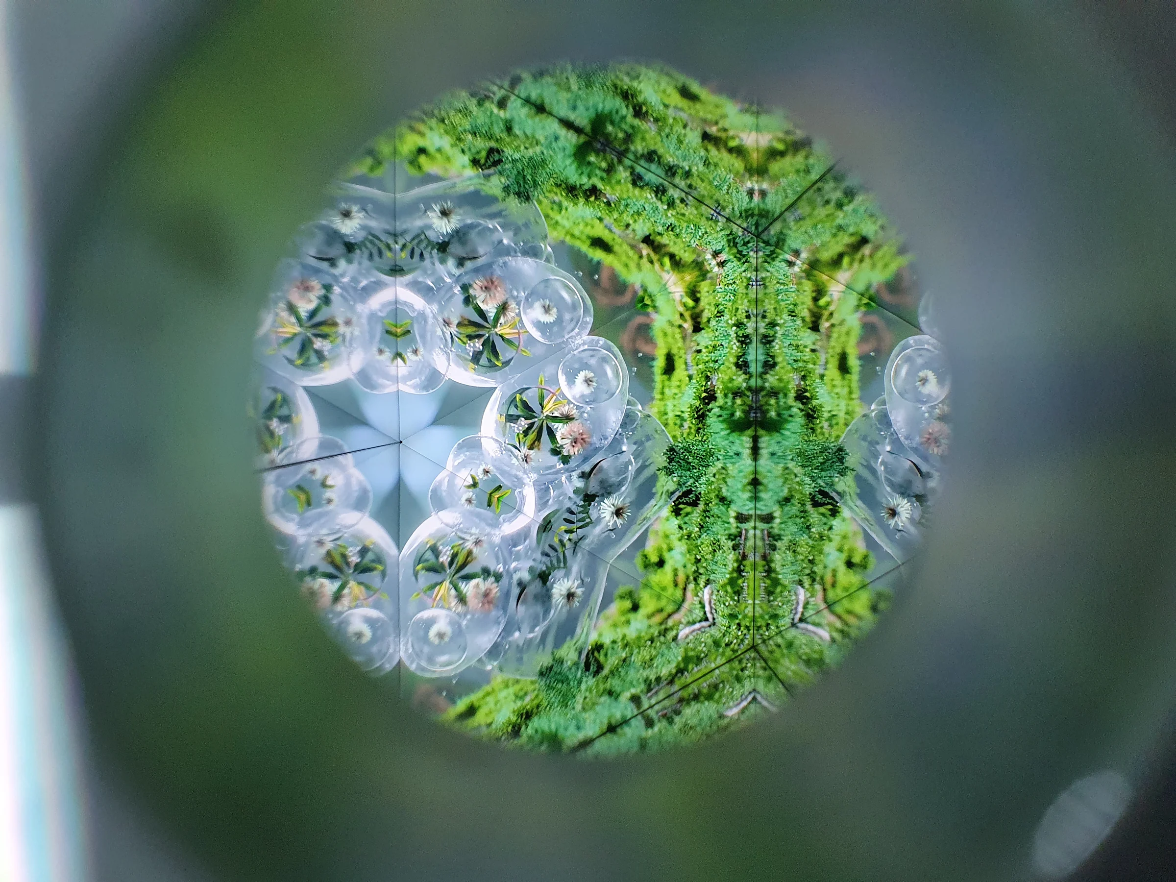 Forest scenes and clear droplets reflect in mirrors beyond the viewing hole, forming a circular kaleidoscope.