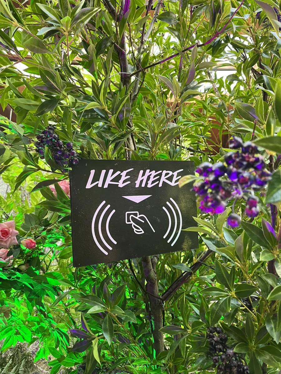 나뭇가지 사이 검은 LIKE HERE 표식